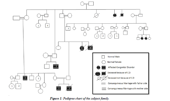 Consanguinity Chart