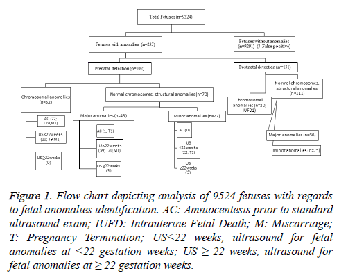 Fetal Gestation Chart