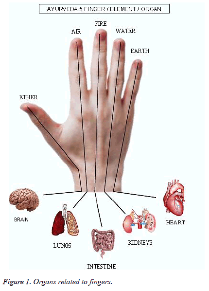 Ayurvedic Pulse Diagnosis Chart