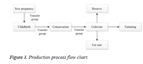 Swine Heat Cycle Chart