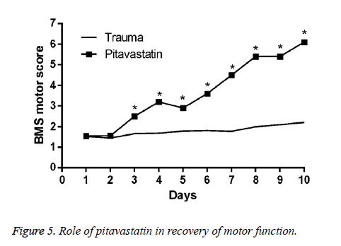 Statin Conversion Chart Livalo