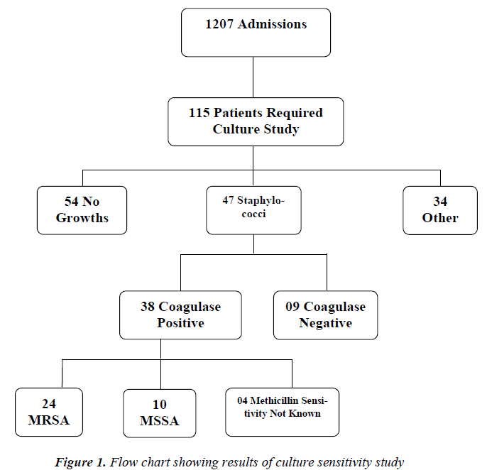 Mrsa Chart