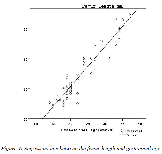 Femur Length Chart By Week