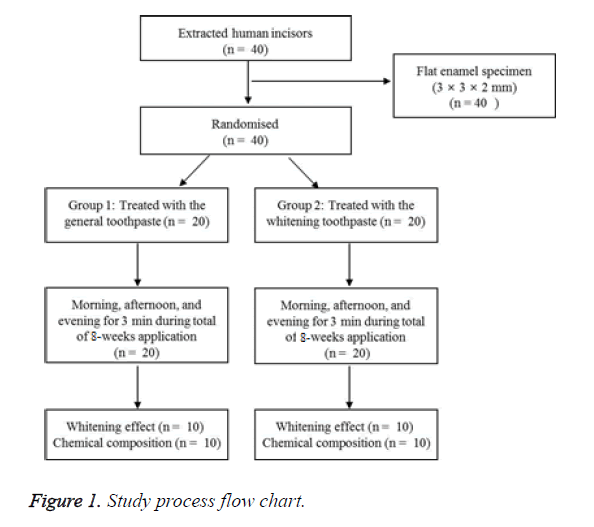 Abrasiveness Of Toothpaste Chart