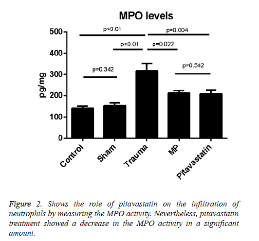 Statin Conversion Chart Livalo