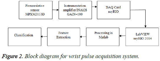 Ayurvedic Pulse Diagnosis Chart