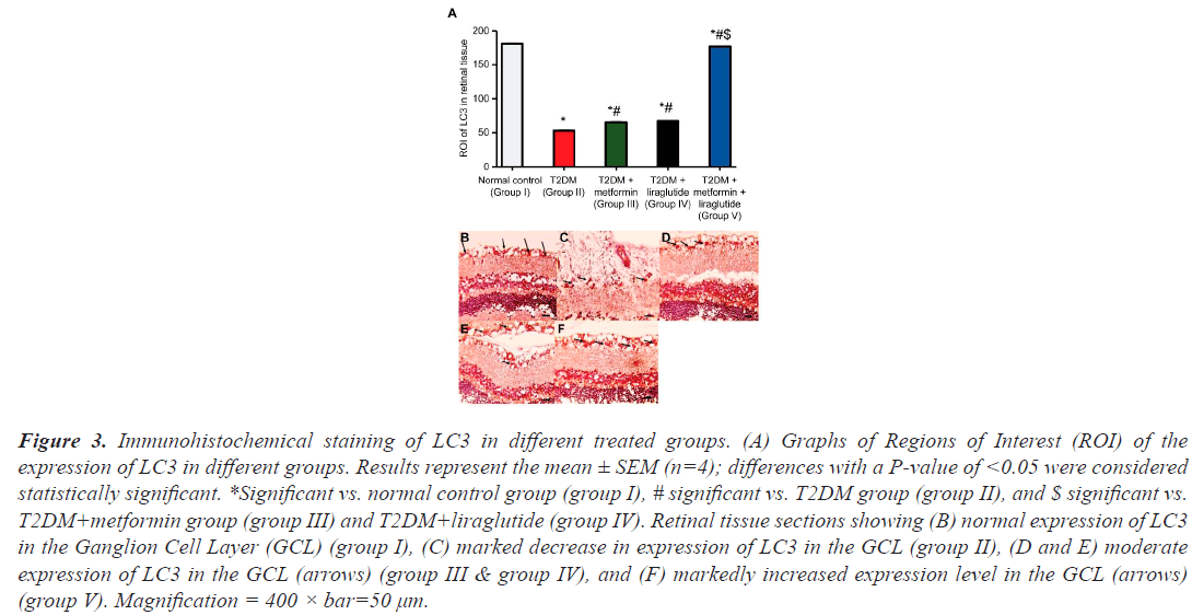 Immunohistochemical