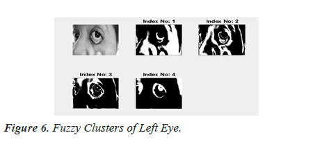 biomedres-Clusters