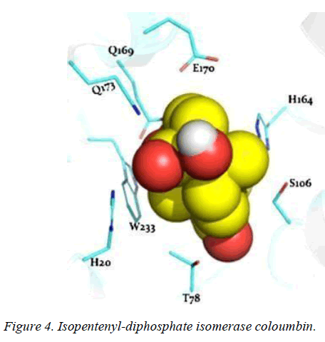 biomedres-Isopentenyl