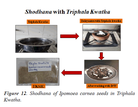 biomedres-Triphala