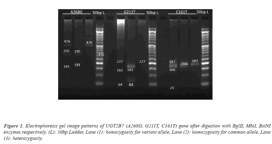 biomedres-image-patterns