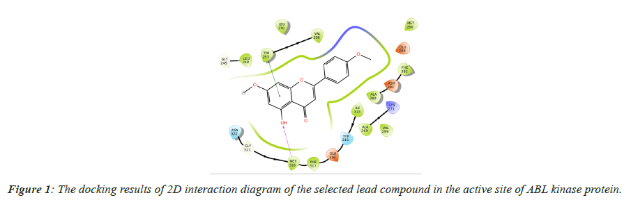 biomedres-kinase-protein