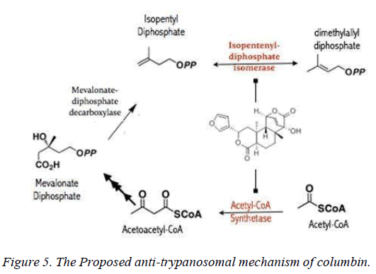 biomedres-mechanism