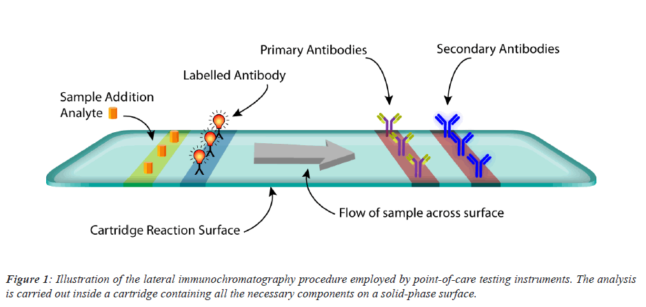 biomedres-point-care