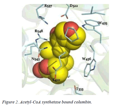 biomedres-synthetase