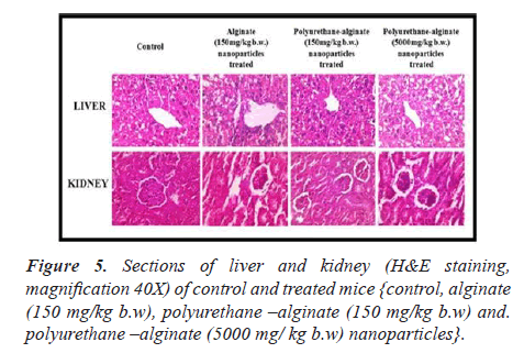 Biomedical-Research-treated