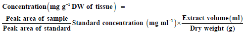 Equation