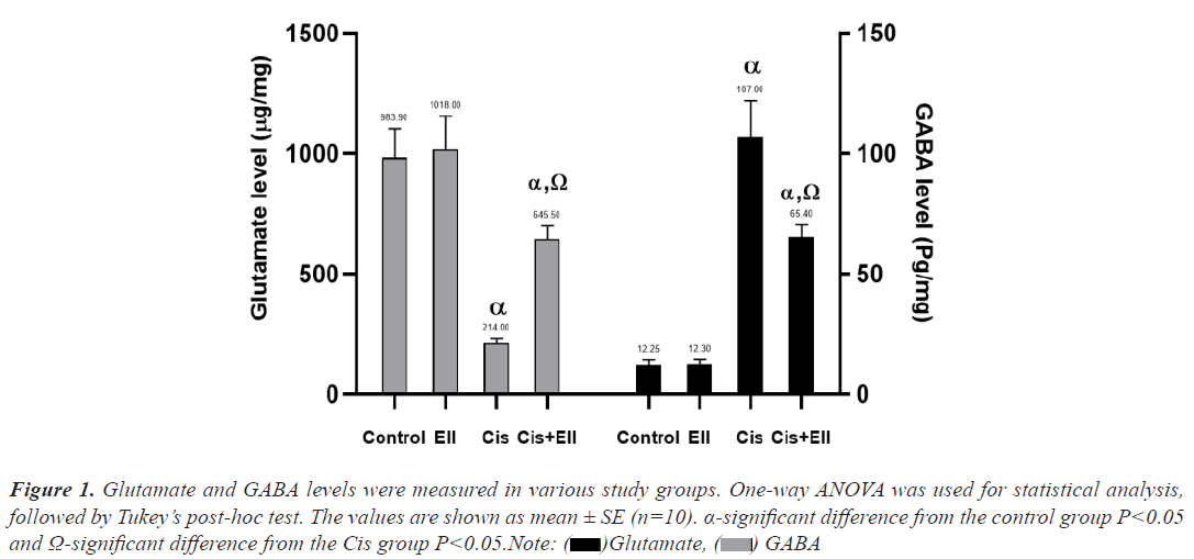 Glutamate