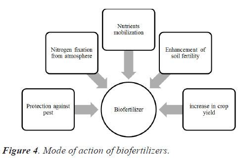 biofertilizers