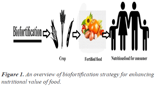 biofortification