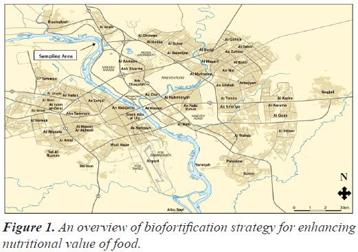 biofortification