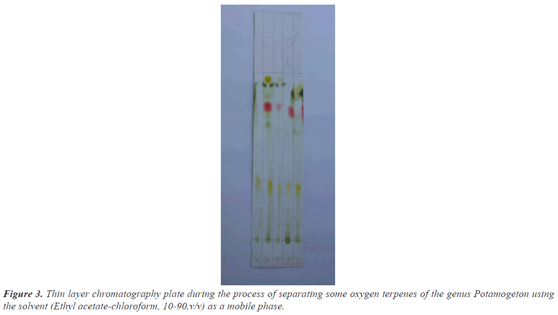 chromatography