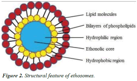 biomedical-research-ethosomes