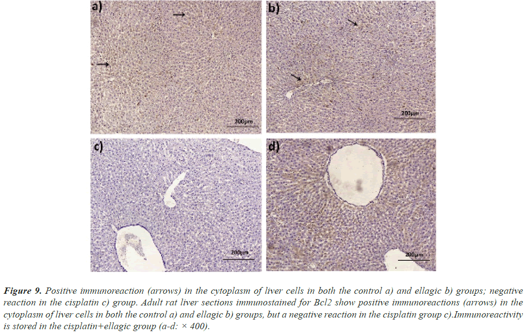 immunoreaction