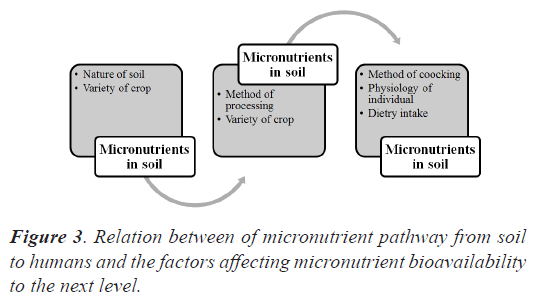 micronutrient