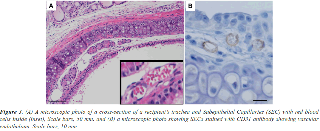 microscopic