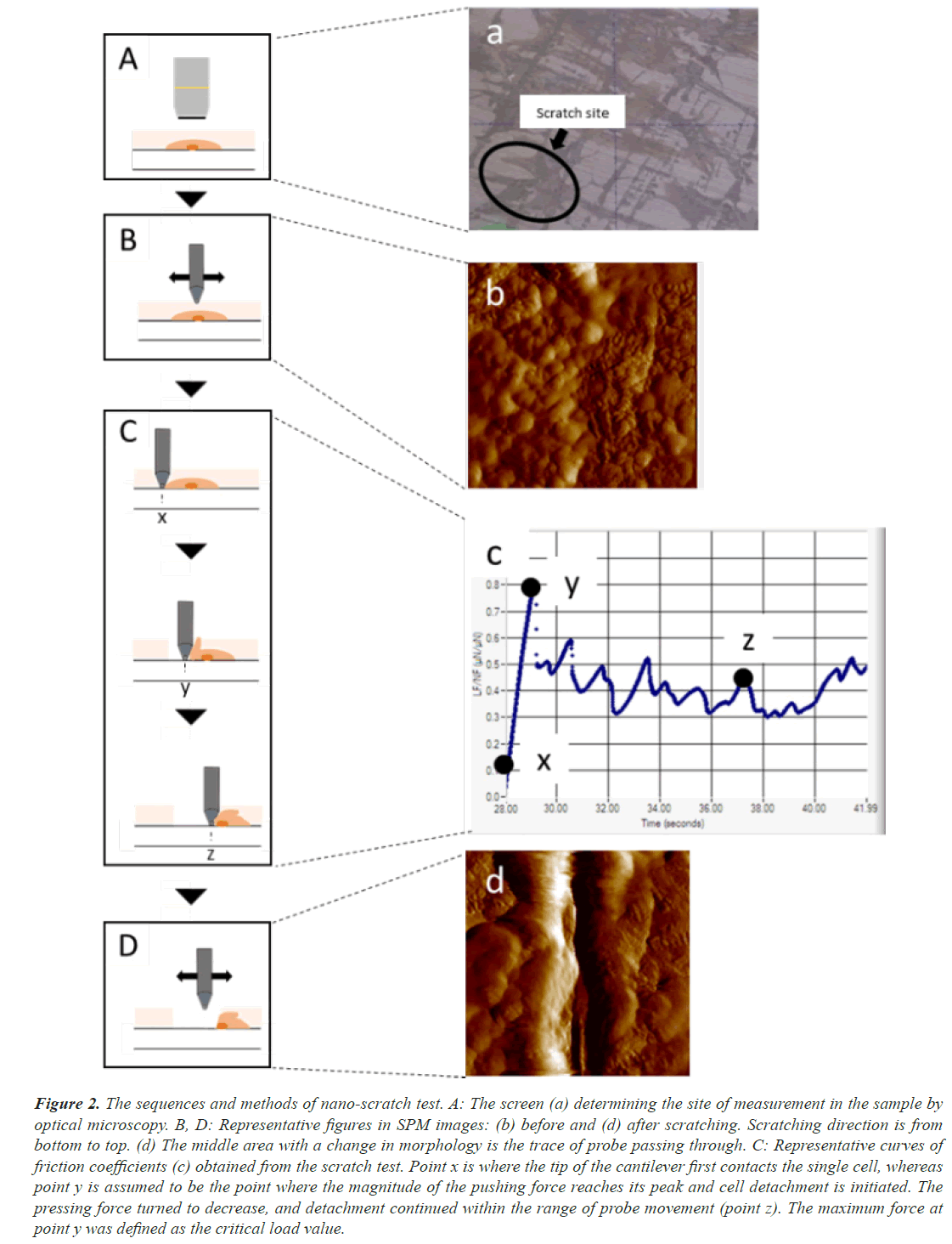 sequences