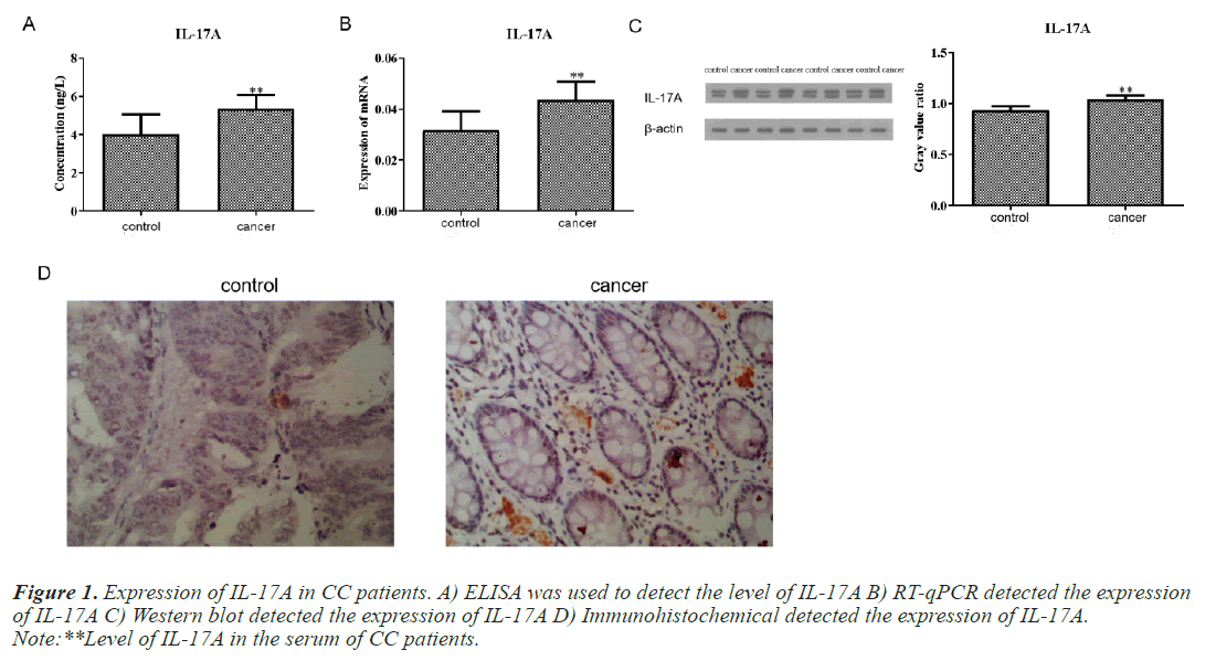 Immunohistochemical