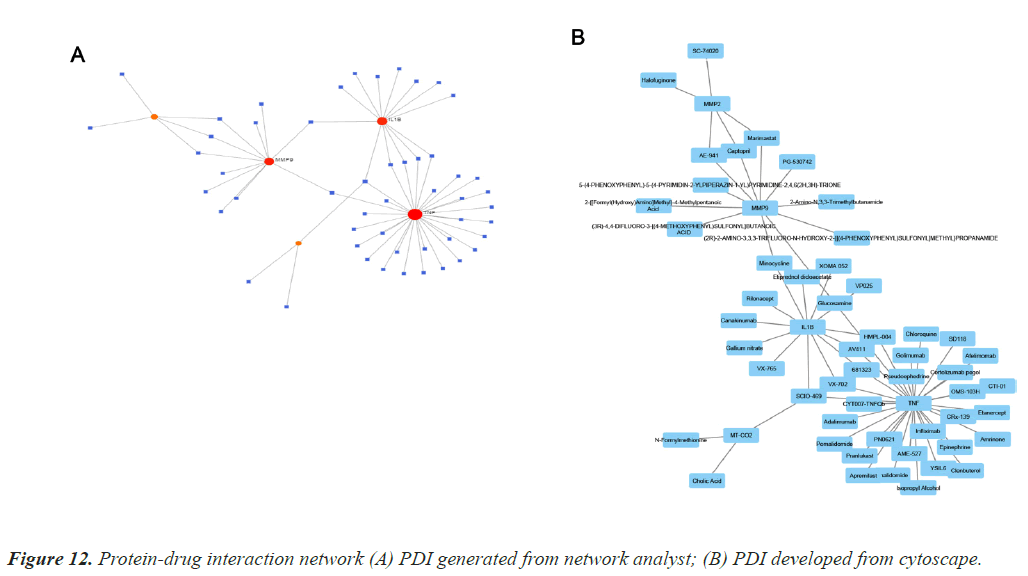 cytoscape