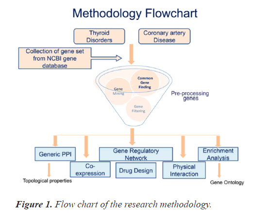 methodology