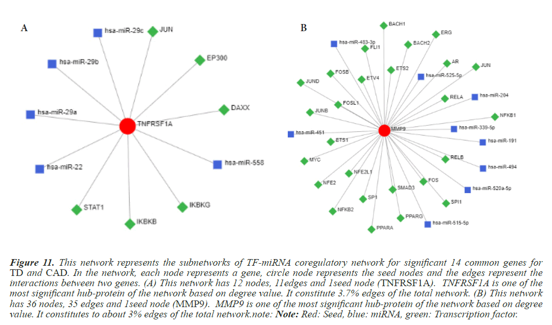 subnetworks