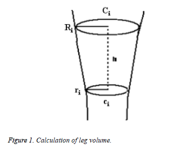 Bbiomedres-Calculation-leg-volume