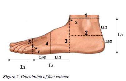 Bbiomedres-foot-volume