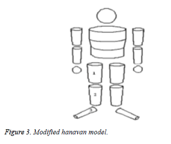 Bbiomedres-hanavan-model