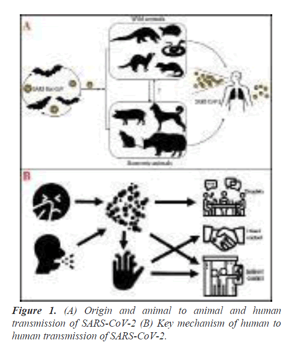 biomedical-research-Origin