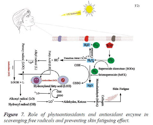 biomedical-research-antioxidant