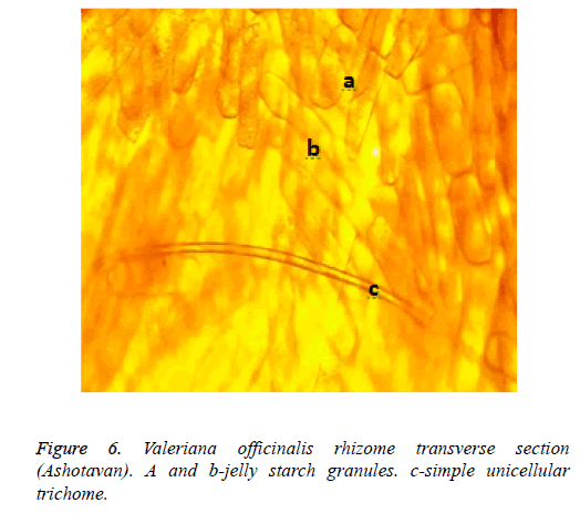 biomedical-research-b-jelly