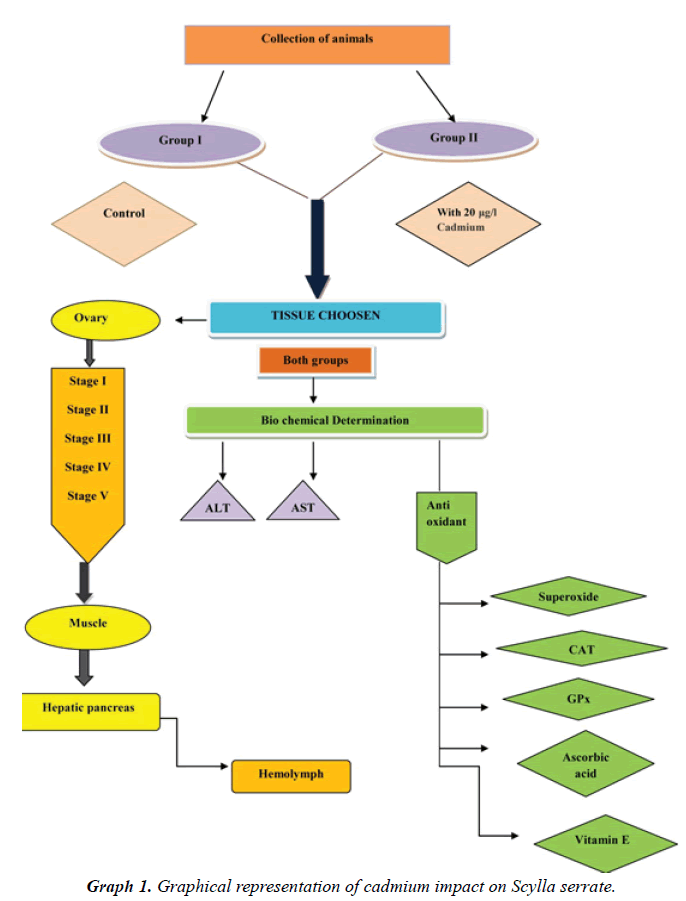 biomedical-research-cadmium