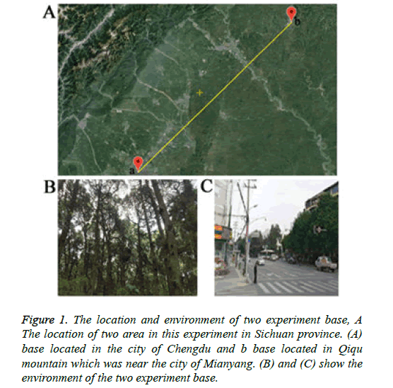 biomedical-research-environment