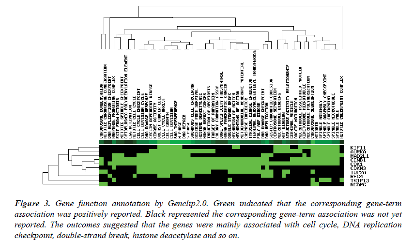 biomedical-research-gene-term