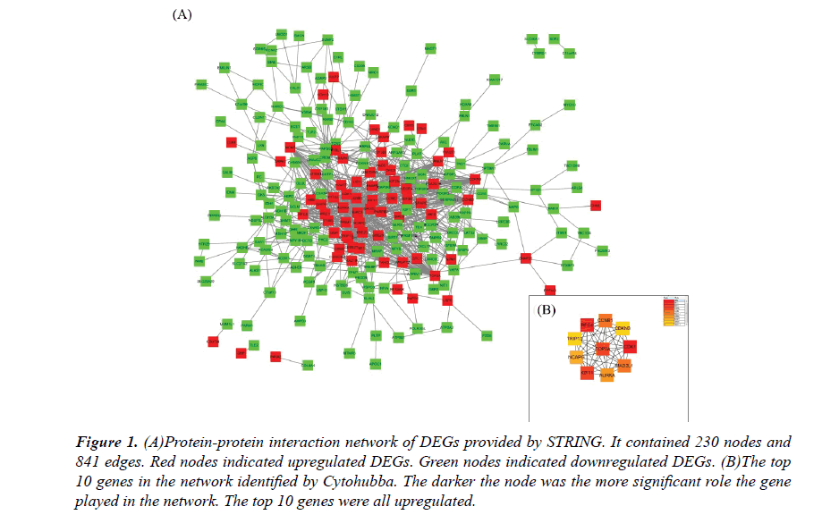 biomedical-research-interaction