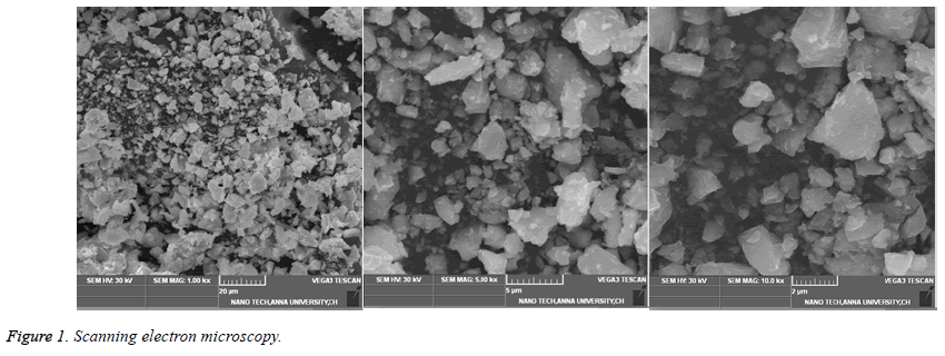 biomedical-research-microscopy