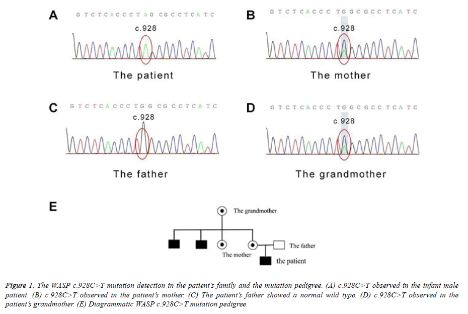 biomedical-research-mutation