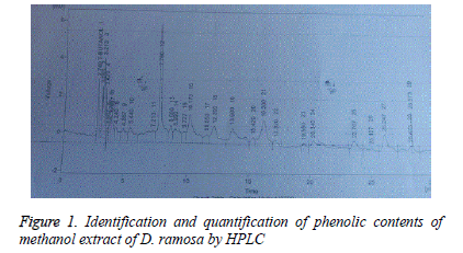 biomedical-research-phenolic