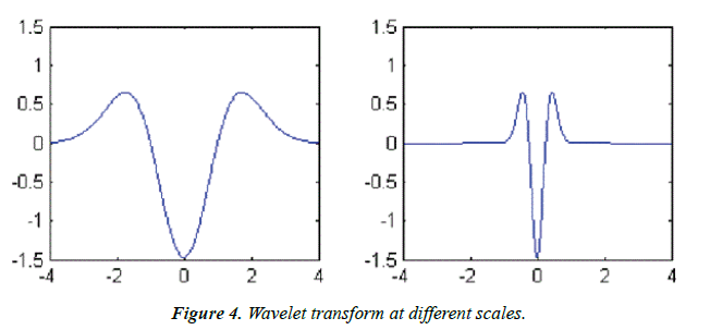 biomedical-research-scales