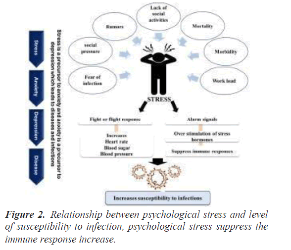 biomedical-research-stress